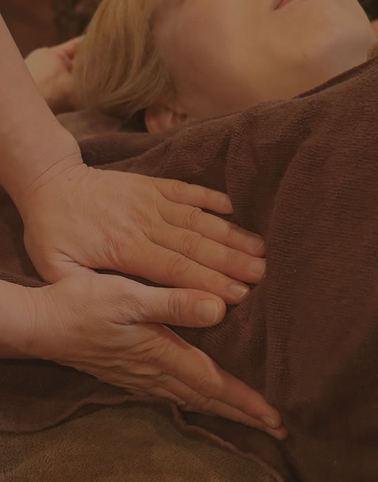 桜梅桃李 画像１